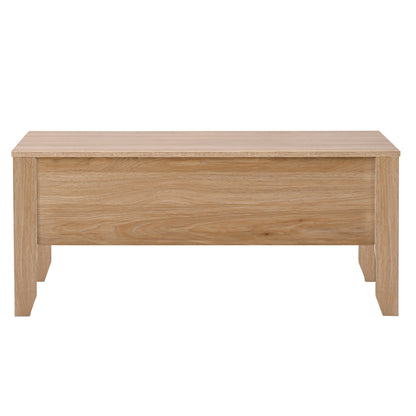 Modern Lift-Top Coffee Table with Storage, Sofa Table For Living Room