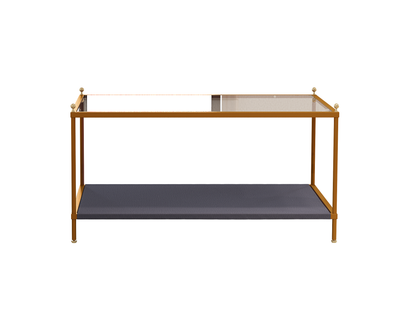 Coffee table share with pets tempered glass tabletop multi-function,rectangle Modern minimalist creative metal coffee table,gold environmental protection powder spraying metal tea table easy assembly